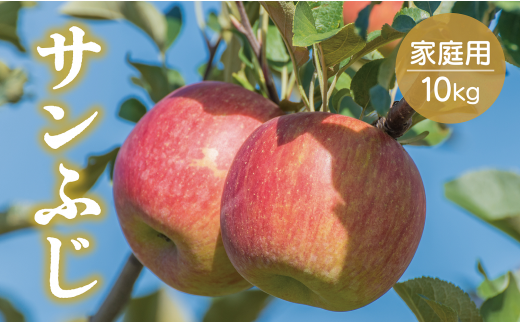 りんご サンふじ家庭用 10kg - 長野県中野市｜ふるさとチョイス