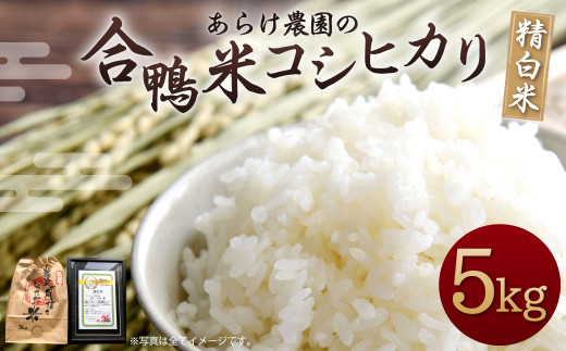 令和6年産】あらけ農園の合鴨米 コシヒカリ 精白米 5kg 【2024年9月下旬～2025年9月下旬発送予定】 お米 米 白米 精米 ご飯 ごはん -  熊本県人吉市｜ふるさとチョイス - ふるさと納税サイト