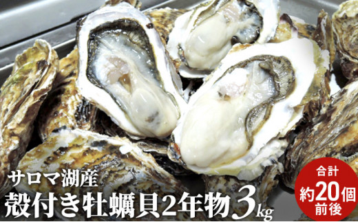 サロマ湖産 殻付きカキ貝 3kg（2年物）【北勝水産】 北海道