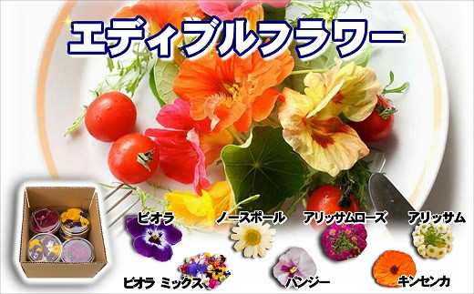 食べられる綺麗なお花 エディブルフラワー( 花 お花 フラワー