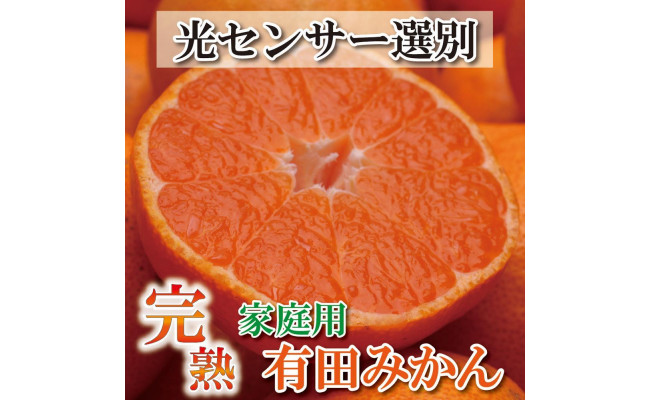 11月より発送＞家庭用 完熟有田みかん10kg+300g（傷み補償分）【わけあり・訳あり】【光センサー選果】 - 和歌山県上富田町｜ふるさとチョイス  - ふるさと納税サイト