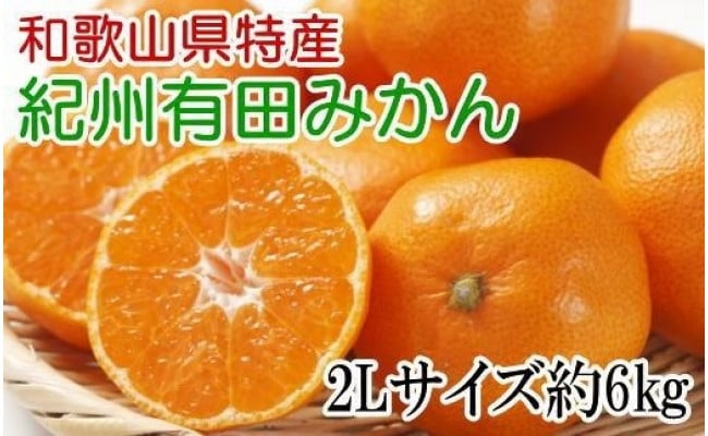 秀品]紀州有田みかん約6kg(2Lサイズ) - 和歌山県かつらぎ町｜ふるさとチョイス - ふるさと納税サイト