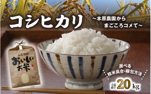 【令和5年産新米】【玄米10kg×2袋】福井県産 コシヒカリ20kg ～本原農園からまごころコメて～ [B-8941_05]