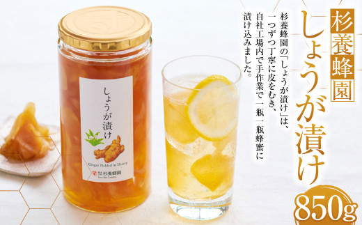 熊本 杉養蜂園 しょうが漬け 850g 蜂蜜 はちみつ