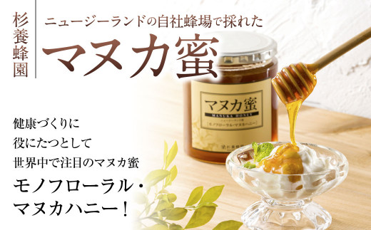 熊本 杉養蜂園 ニュージーランド産 マヌカ蜜 500g マヌカハニー - 熊本