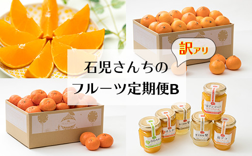 野菜ソムリエ石児さんの訳ありフルーツ定期便B（1月・2月・3月・4月