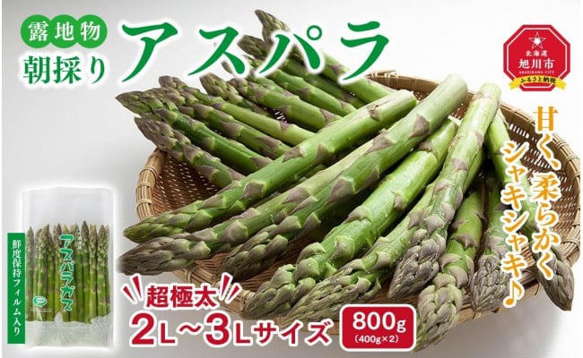 先行予約】露地物朝採りアスパラ 2L～3Lサイズ800g（400g×2）鮮度保持フィルム入り(2023年5月中旬発送予定) - 北海道旭川市｜ふるさとチョイス  - ふるさと納税サイト