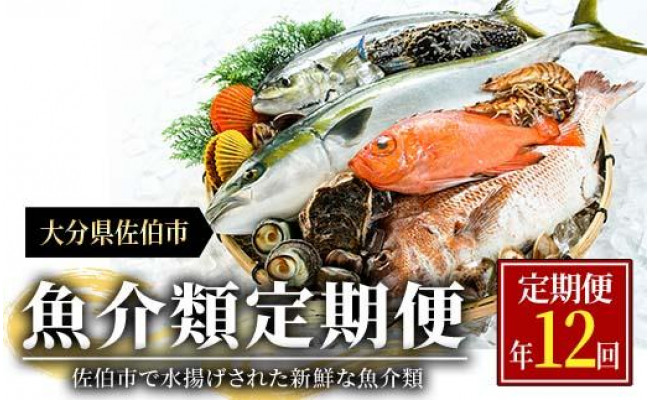 魚介類定期便】☆海の直売所自慢☆佐伯市で水揚げされた新鮮な魚介類が年12回届く - 大分県佐伯市｜ふるさとチョイス - ふるさと納税サイト