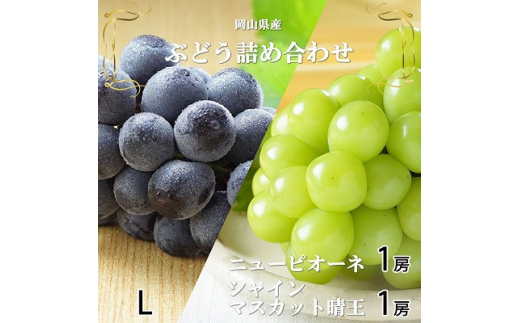 yRÎRsz2026N6{菇RY VC}XJbgEj[sI[lLTCYl_VC}XJbg j[sI[l Ԃǂ  uhE ʕ  t