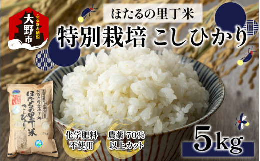 サンプル写真