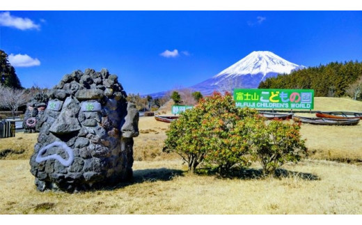 富士山こどもの国 おとな 入園券 ＆ こどもの国 体験乗馬 利用券｣ 各2