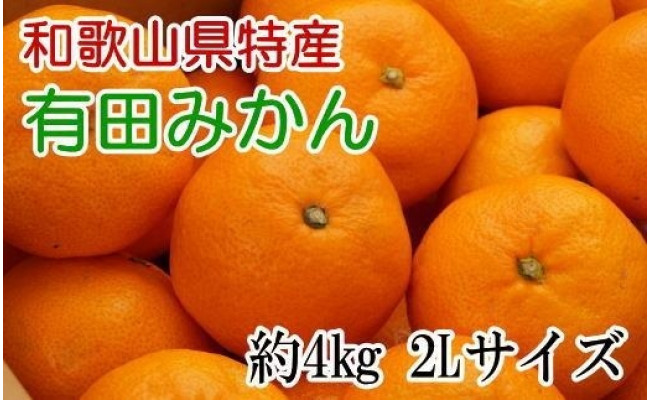 秀品]和歌山有田みかん約4kg(2Lサイズ) ☆2023年11月中旬頃より順次発送 和歌山県印南町｜ふるさとチョイス ふるさと納税サイト