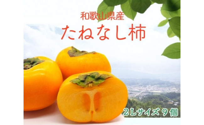 国城観光農園 たねなし柿９個入り（２Lサイズ）【2022年10月上旬発送（予定）】 - 和歌山県橋本市｜ふるさとチョイス - ふるさと納税サイト