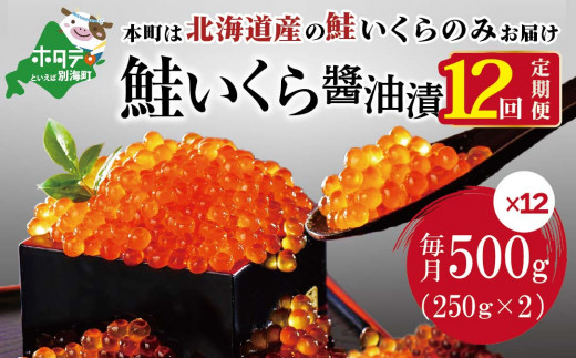 数量限定！贅沢堪能！北海道産 鮭いくら醤油漬け 合計 6.0kg 500g を