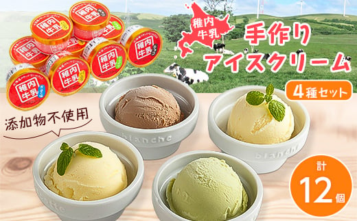 稚内牛乳　アイスクリーム4種12個セット (バニラ、チョコ、宗谷の塩、稚内産クマザサ)【1143772】