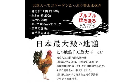 S081-007_天草大王水炊きセット 3~4人前 - 熊本県天草市｜ふるさと