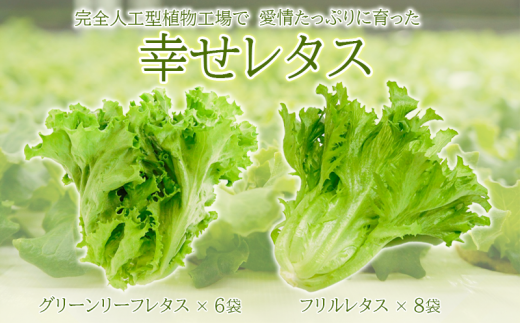 レタス 農薬 その他の野菜 きのこの人気商品 通販 価格比較 価格 Com
