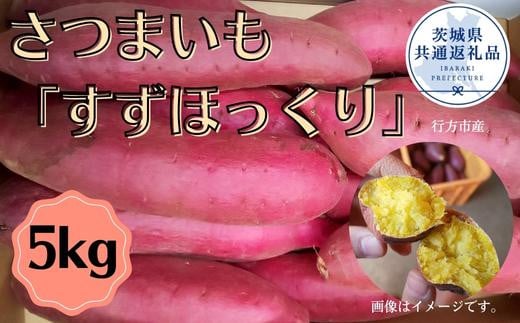 さつまいも「すずほっくり」5kg（茨城県共通返礼品／行方市産） - 茨城県鉾田市｜ふるさとチョイス - ふるさと納税サイト