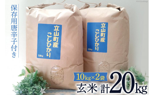 米 富山県立山町産 こしひかり 玄米 10kg×2袋 計20kg 保存用唐辛子付き / 横山ファーム / 富山県 立山町