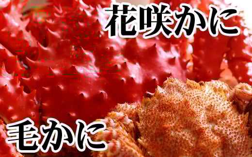 ykCszC-36071y12/21܂ŔNzz т400gO`550gO×1Eԍ炩500gO`650gO×1