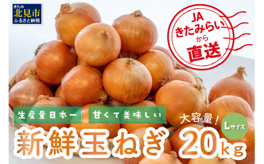 A1-042】やっぱりL玉☆日本農業賞大賞受賞！JAきたみらいから直送する