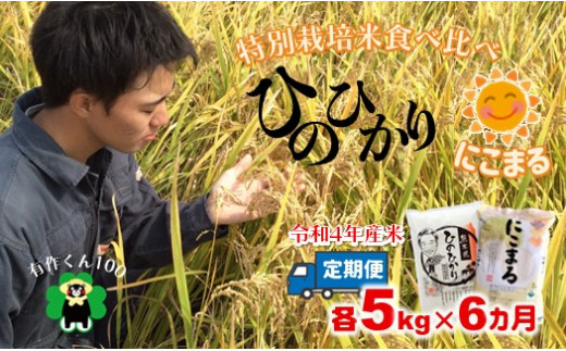 ひのひかり」「にこまる」食べ比べセット（各5kg×6ヶ月定期） - 熊本県