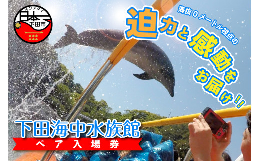 下田海中水族館ペア入場券 - 静岡県下田市｜ふるさとチョイス