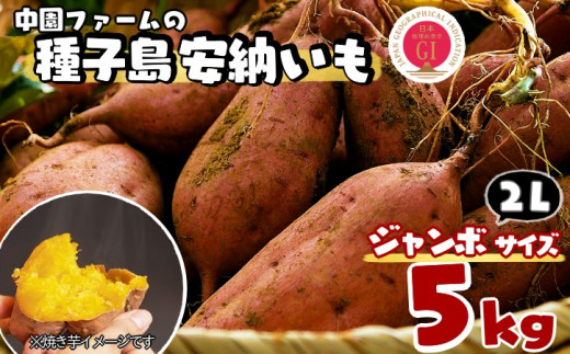 絶品】種子島産 安納芋S 6kg(箱別) - 野菜