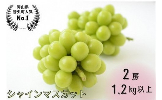 サンプル写真