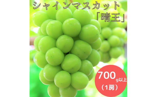 岡山県産 シャインマスカット 700g以上 （1房）_【9月中旬から10月中旬