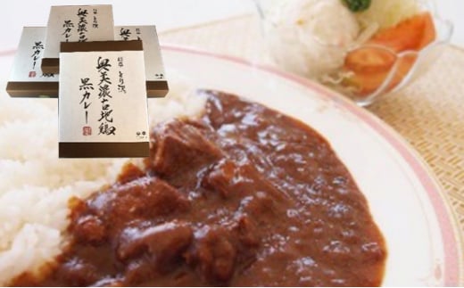 [№5533-0304]神代の味・奥美濃古地鶏 黒カレー 4箱セット