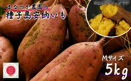 新物 】 種子島 まなつか農園 安納いも ( 生いも ) M サイズ 5kg