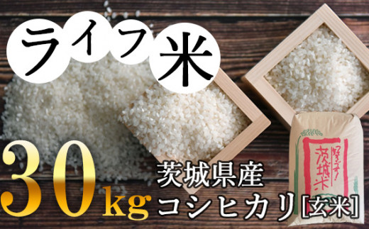 茨城県産　2022年米　コシヒカリ　玄米/30キロ（普通精米無料）