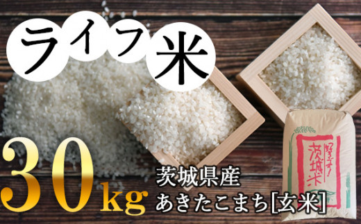 No.123 コシヒカリ・玄米 20kg 令和4年産【ライフ米】 ／ お米
