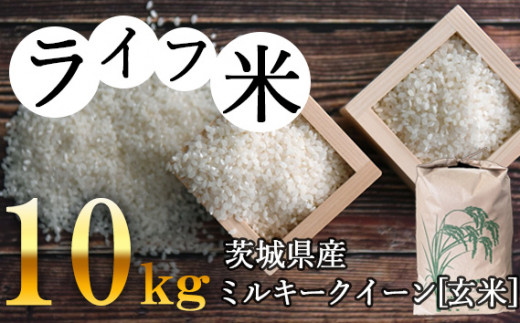 No.004 コシヒカリ・白米 10kg 令和4年産【ライフ米】 ／ お米 ごはん