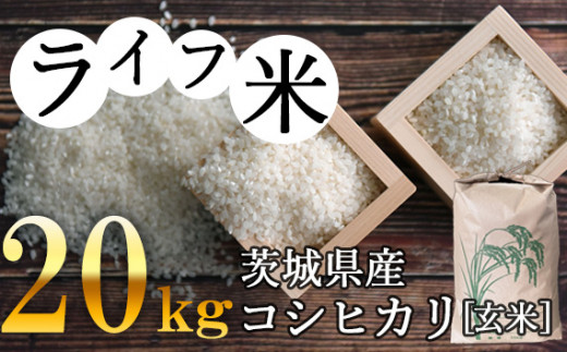 米/穀物令和4年　茨城県産コシヒカリ　玄米　20Kg
