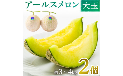 高級アールスメロン（マスクメロン） 2個入り（約3kg～4kg）／大玉 お中元 メロン めろん アールス マスク おすすめ 人気 国産 青肉 産地直送 茨城  鉾田 フルーツ 旬 大きい プレゼント 贈り物 旬 定番 果物 くだもの 甘い 高級 完熟 贈答用 ギフト - 茨城県鉾田市 ...