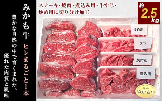 「みかも牛」ヒレまるごと1本(約2.5kg)【1257346】 - 栃木県佐野市