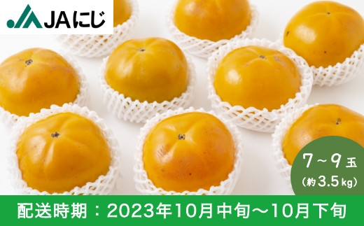 E233-B JAにじ 太秋柿ビックリ玉 7～9玉 (約3.5kg) - 福岡県うきは市