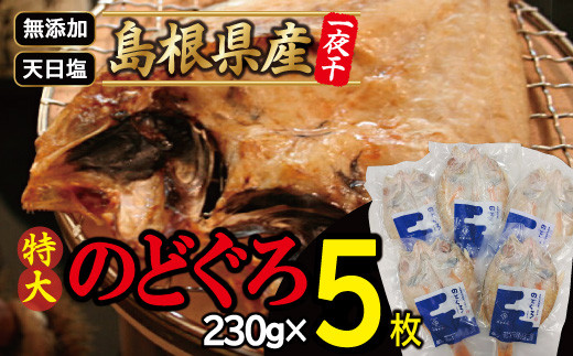 【島根県大田市】特大のどぐろ一夜干し(5枚セット)【のどぐろ 特大 干物 230g 合計1.15kg のどぐろ干物 無添加 天日塩 高級魚 ノドグロ アカムツ 一夜干し 新鮮 冷凍 真空パック 贈答 父の日