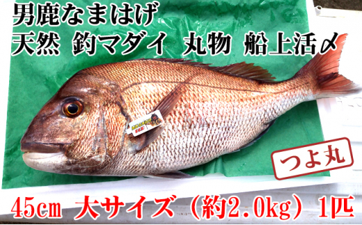 サンプル写真