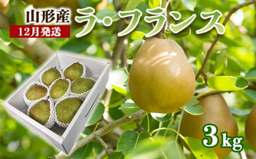 yR`R`szR`̃EtX G 3kg(6`9ʁE3L`6L)[12]  FZ22-959