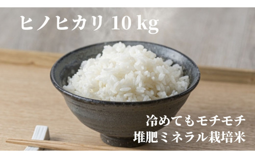 サンプル写真