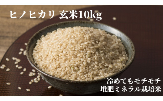 サンプル写真