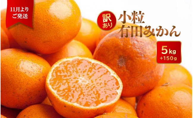 家庭用 小粒 有田みかん5kg+150g(傷み補償分)【わけあり・訳あり】【光センサー選果】 - 和歌山県上富田町｜ふるさとチョイス - ふるさと納税 サイト