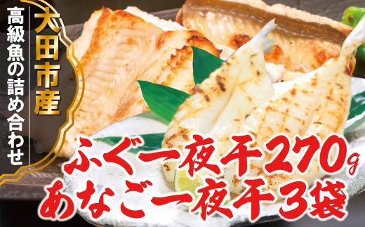 【島根県大田市】高級魚の干物セット　ふぐ・あなご一夜干セット