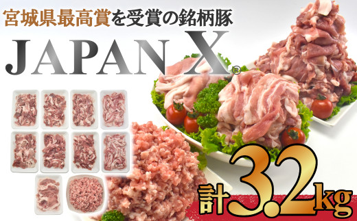 ＜蔵王町産＞JAPAN X 豚肉バラエティセット 3.2kg 【04301-0366