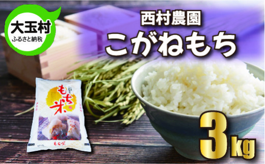 もち米 【 令和5年産 新米 】【 西村農園 の お米 】 こがねもち