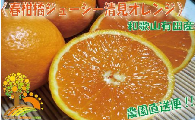 果汁たっぷり！清見オレンジ 約10kg 有機質肥料100% - 和歌山県日高町｜ふるさとチョイス - ふるさと納税サイト