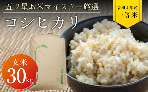令和4年 千葉県産「コシヒカリ」30kg（玄米） - 千葉県富津市